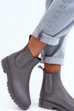 Niskie Kalosze Damskie Szare Birella