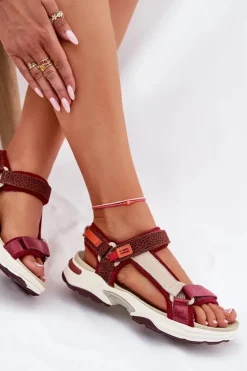 Sandały Damskie Na Rzepy D.Franklin DFSH406003 Bordowe