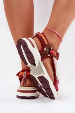 Sandały Damskie Na Rzepy D.Franklin DFSH406003 Bordowe