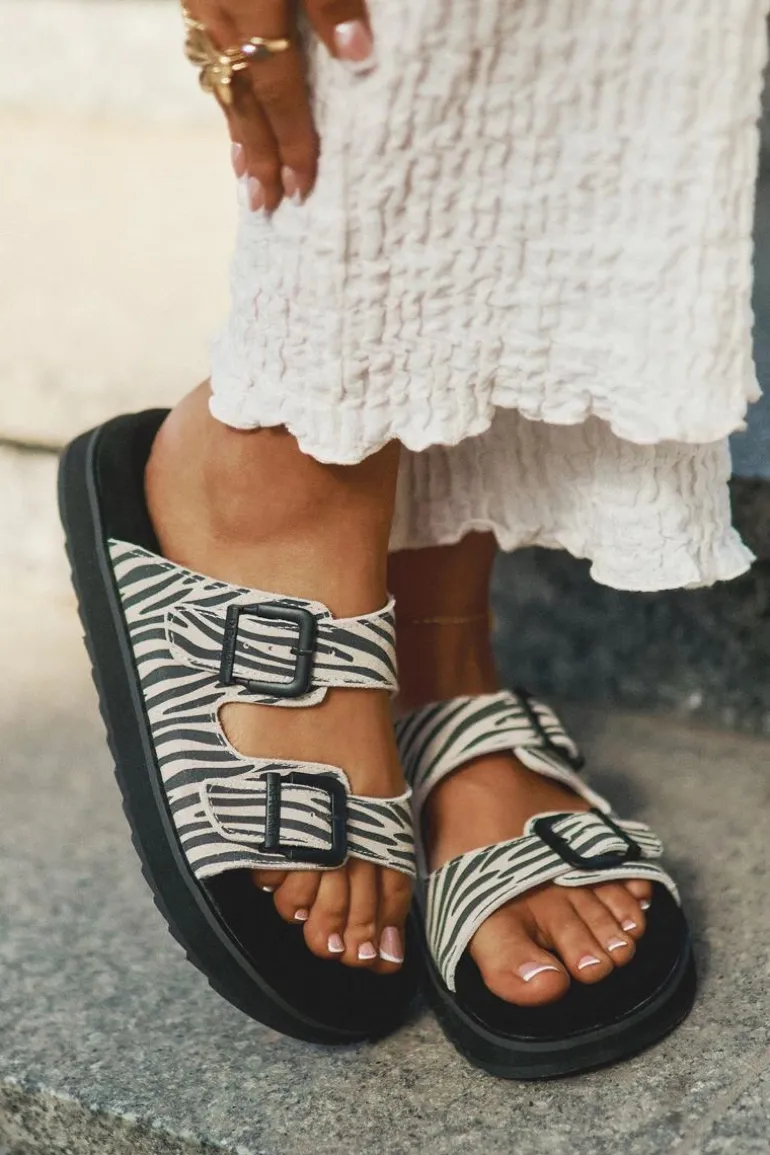 Zamszowe Klapki Damskie Z Klamrami D.Franklin DFSH405002 Zebra