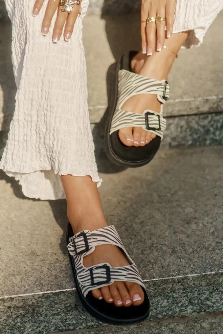 Zamszowe Klapki Damskie Z Klamrami D.Franklin DFSH405002 Zebra