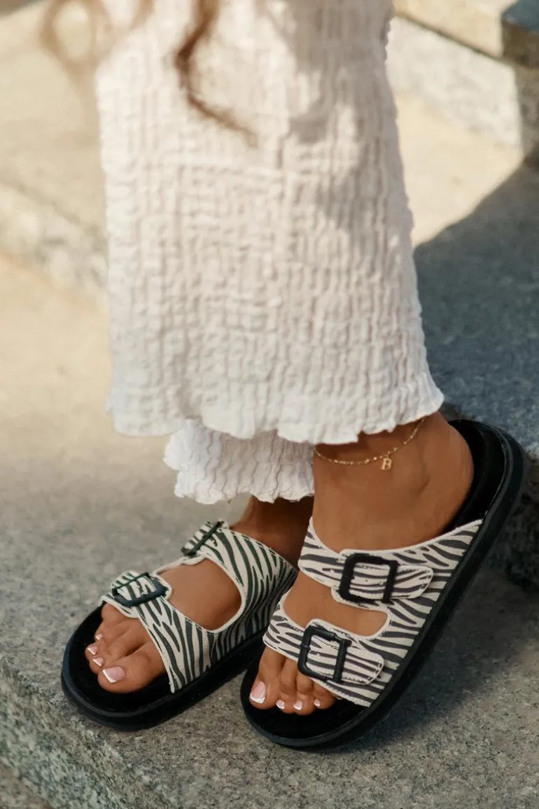 Zamszowe Klapki Damskie Z Klamrami D.Franklin DFSH405002 Zebra